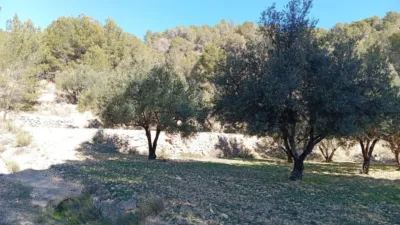 Rustic farm in Poligono Ind. los Vasalos photo 14