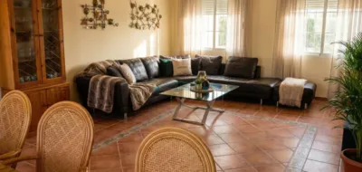 Chalet in Elche - Elx photo 7