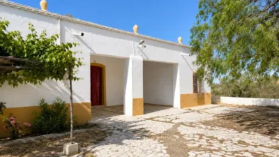 Rustic Finca in Andalucia photo 3