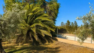 Rustic Finca in Andalucia photo 27
