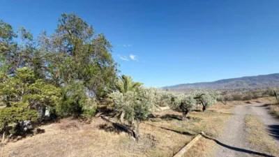 Rustic Finca in Andalucia photo 41