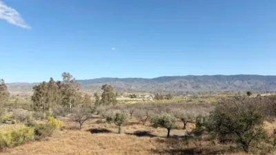 Rustic Finca in Andalucia photo 38
