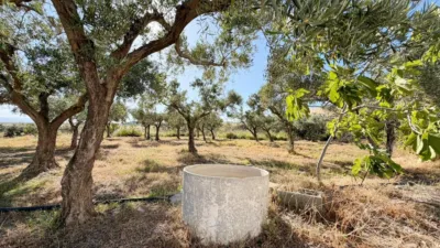 Rustic Finca in Andalucia photo 35