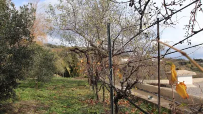 Rustic finca on Calle Humilladero, 3 photo 4