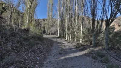 Finca rústica en calle Dúrcal photo 37