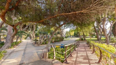 Casa en calle Isla de Java, 3 photo 44