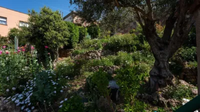 House in Cesalpina photo 47