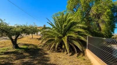 Rustic Finca in Andalucia photo 28