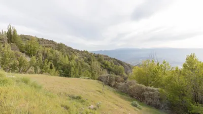 Rustic Finca on Camino de la Sierra photo 42