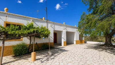 Rustic Finca in Andalucia photo 7