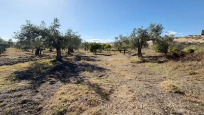 Rustic Finca in Andalucia photo 34