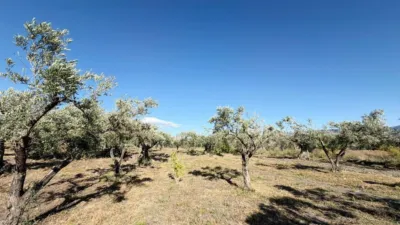 Rustic Finca in Andalucia photo 33