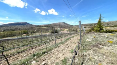 Rustic finca on Mazajarán Street photo 52