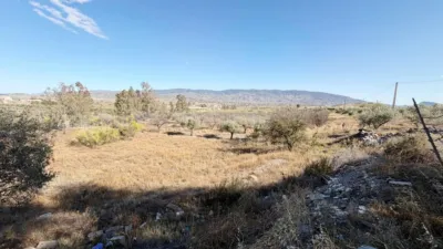 Rustic Finca in Andalucia photo 40