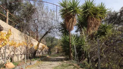 Rustic finca on Calle Humilladero, 3 photo 11