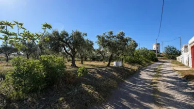 Rustic Finca in Andalucia photo 4