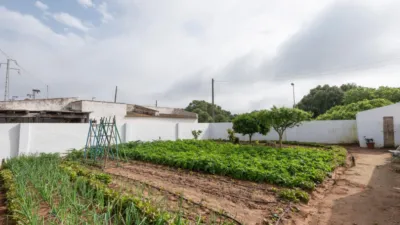 House in Poblado Varelo photo 7