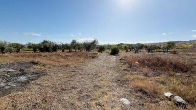 Rustic Finca in Andalucia photo 39