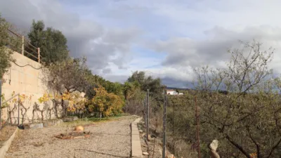 Rustic finca on Calle Humilladero, 3 photo 19
