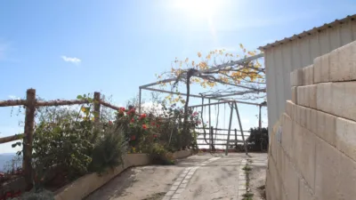 Rustic finca on Calle Humilladero, 3 photo 21