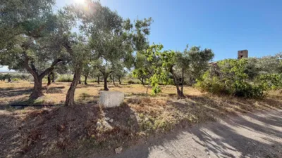Rustic Finca in Andalucia photo 32