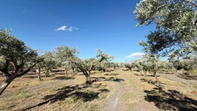 Rustic Finca in Andalucia photo 31