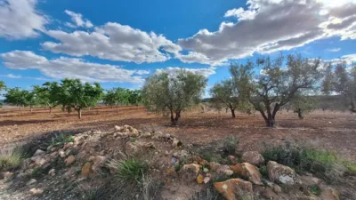Terreno en venta en Alicante - Más