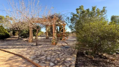 Casa – Crevillent, el Baix Vinalopó - Más