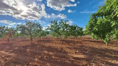 Terreno en venta en Alicante - Vista 3