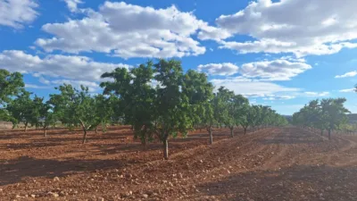 Terreno en venta en Alicante - Vista 3
