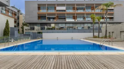 Duplex Penthouse in Vara de Quart photo 34