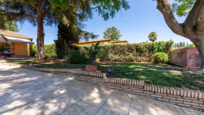 Chalet on Calle de los Tulipanes photo 33
