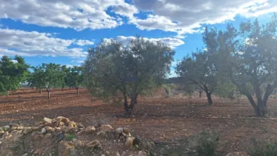 Terreno en venta en Alicante - Vista 5