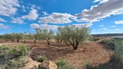 Terreno en venta en Alicante - Vista 4