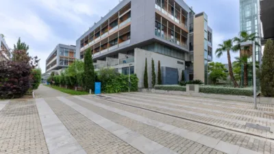 Duplex Penthouse in Vara de Quart photo 23