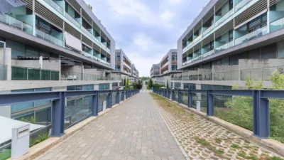 Duplex Penthouse in Vara de Quart photo 46