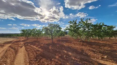 Terreno en venta en Alicante - Más