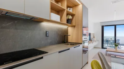 Penthouse in El Raso photo 25