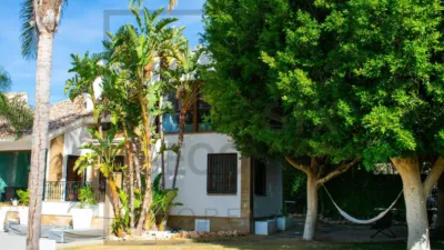 Casa – Algorfa, La Rellana - Vista 5