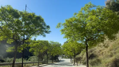 Apartment at Calle Pensamiento, 58 photo 43