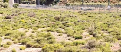 Terreno en venta en Las Virtudes - Vista 3