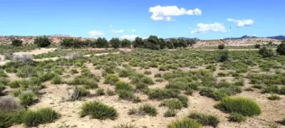 Terreno en venta en Las Virtudes - Vista 5