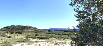 Terreno en venta en Las Virtudes - Vista 4