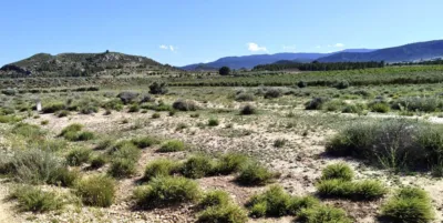 Terreno en venta en Las Virtudes - Vista 2