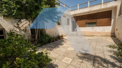 Pis – Sant Vicent del Raspeig - San Vicente del Raspeig - Vista 2