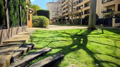 Apartment in Son Cotoner photo 47