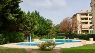 Apartment in Son Cotoner photo 45