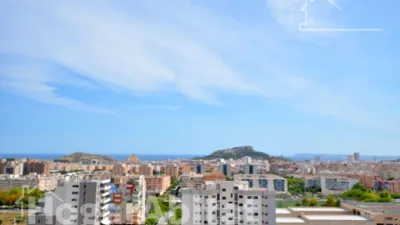 Apartment on Calle del Cronista Vicente Martínez Morellá photo 14