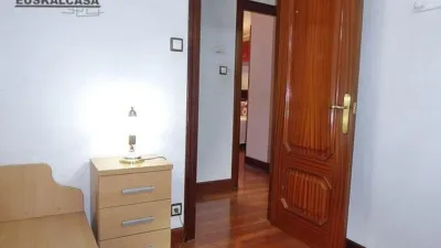 Apartment in Zorrotza photo 12