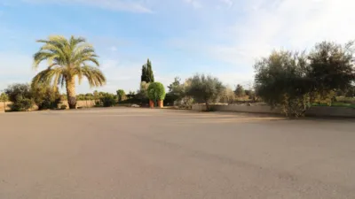 Casa – Elx - Elche - Más